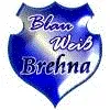 TSV Blau-Weiß Brehna (N)