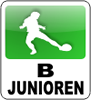 Aufstieg der B-Junioren in die Landesliga